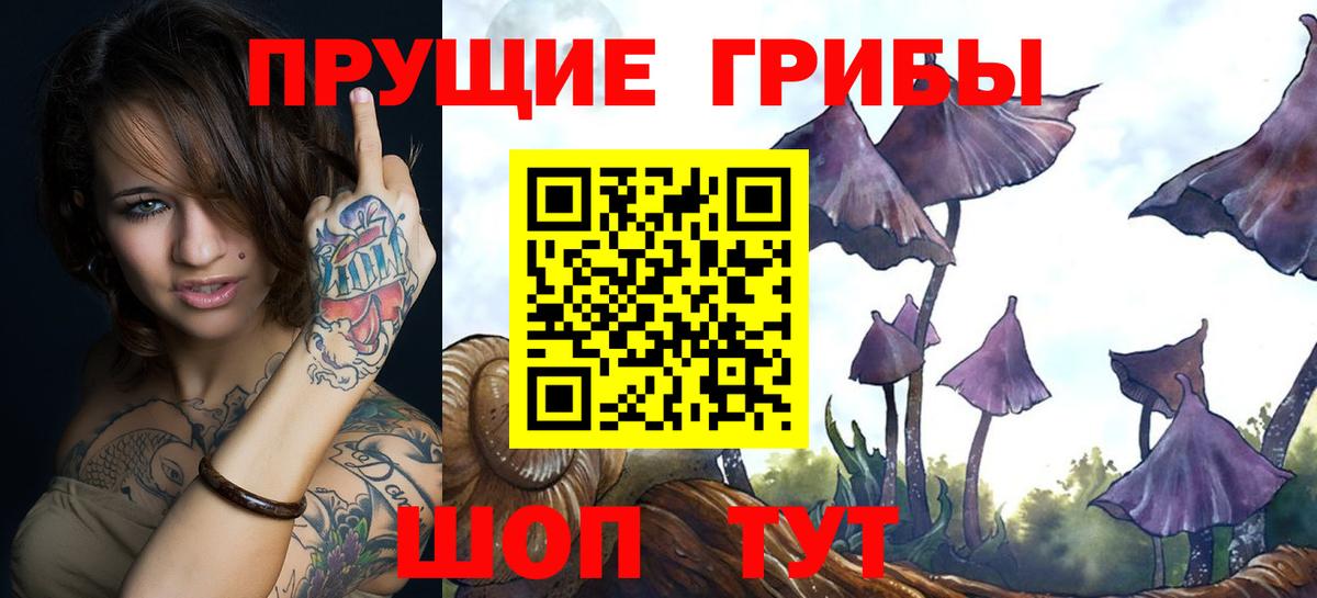 Конаково  Галлюциногенные грибы GOLDEN TEACHER  что такое наркотик  Вход с VPN 