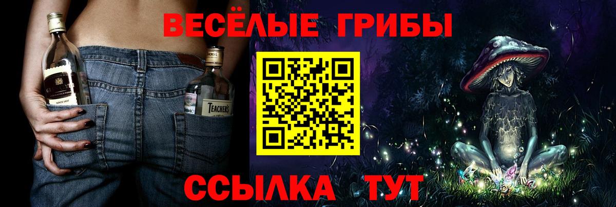 Галлюциногенные грибы мицелий Конаково